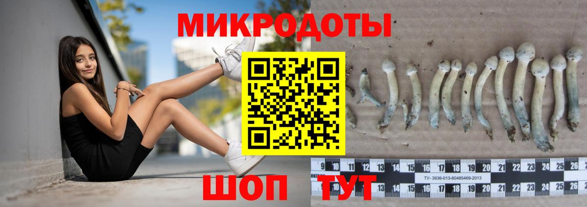 Ковров  Псилоцибиновые грибы MAGIC MUSHROOMS  Вход с VPN 